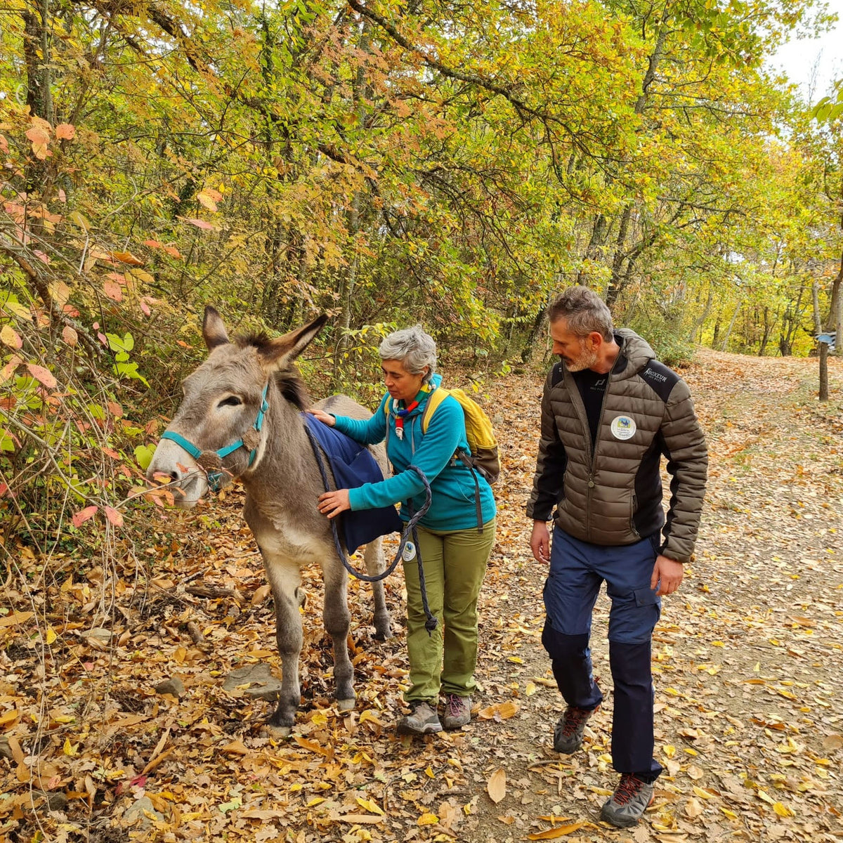 Wild Farm Nature & Animals Experience near Arezzo 5 Arezzo