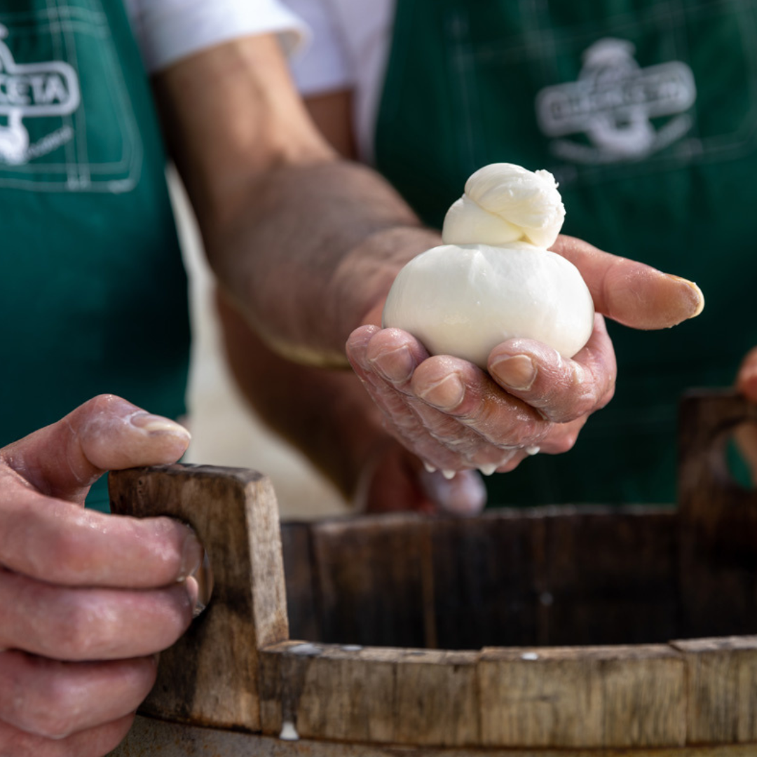 Mozzarella Making Show & Farm Tour in Putignano 3 Bari