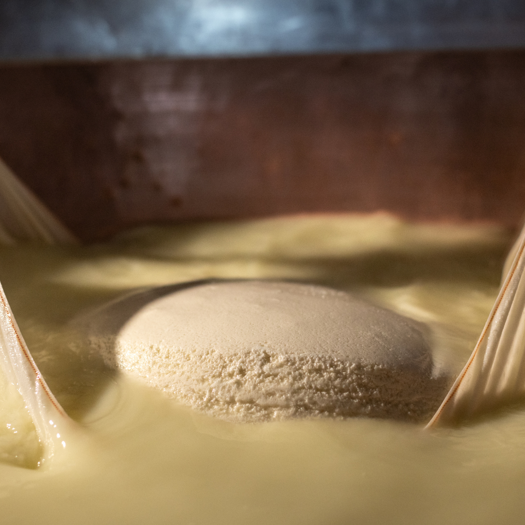 Parmigiano Factory Tour & Tasting near Parma & Reggio 3 Reggio Emilia