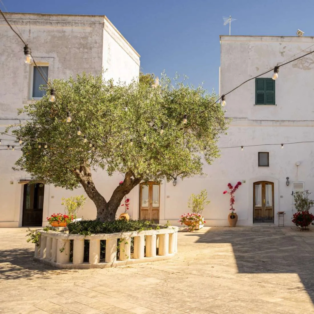 Pasta Making Class in Historic Farm Estate near Taranto 2 Taranto