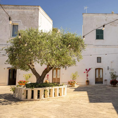 Pasta Making Class in Historic Farm Estate near Taranto 2 Taranto