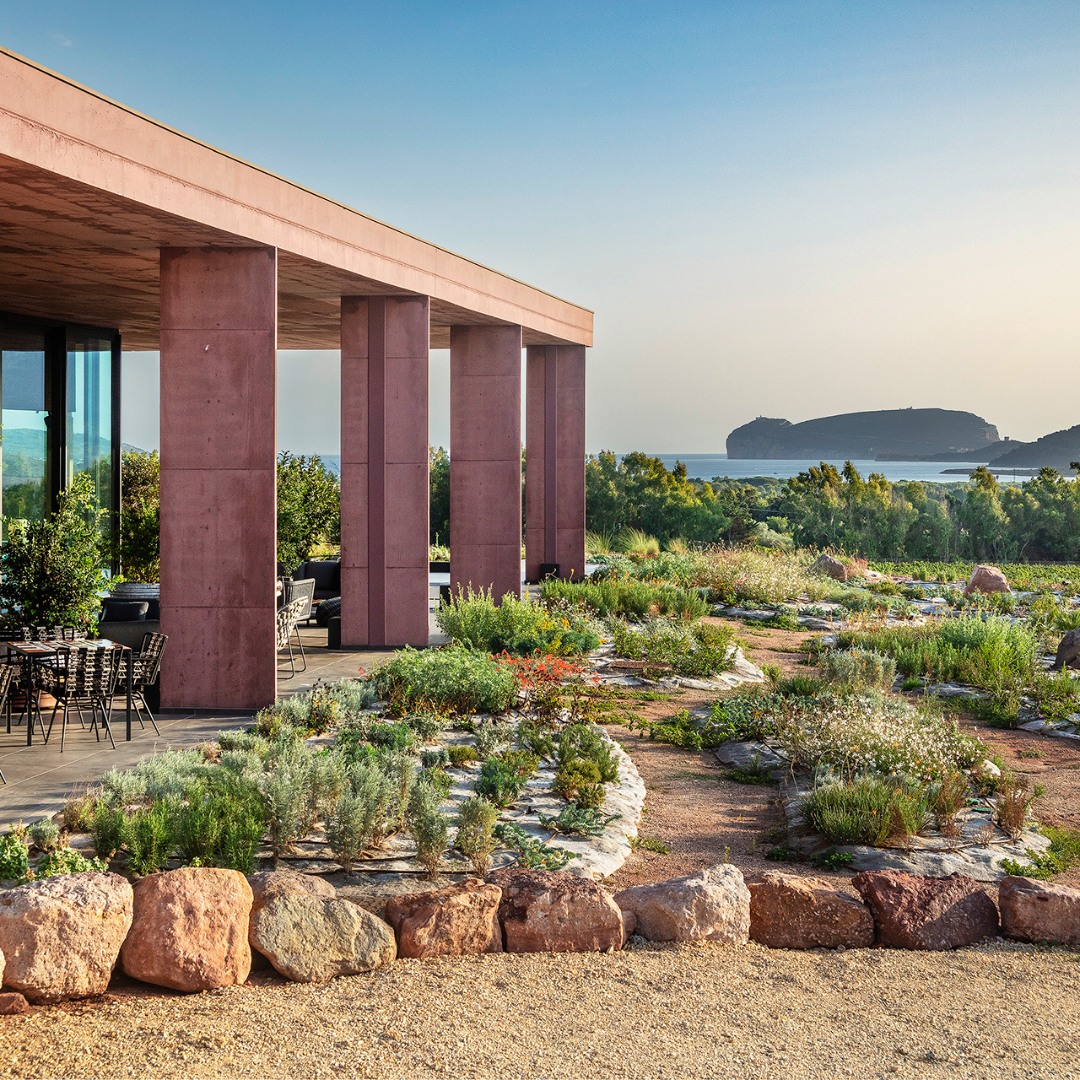 Luxury Winery Tour with Tasting & Food Pairing in Alghero 7 Sassari
