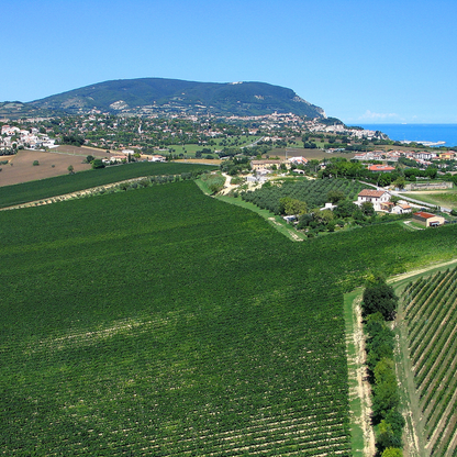 Gourmet Winery Tour with Wine & Food Tasting near Ancona 2 Ancona