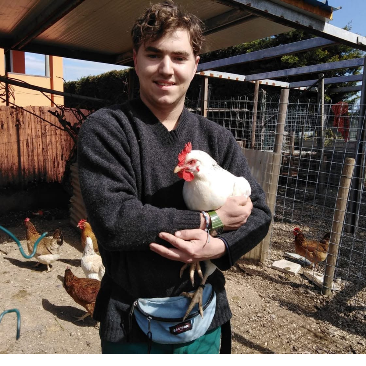 Discover Farm Life Near Verona with a Local Farmer 3 Verona