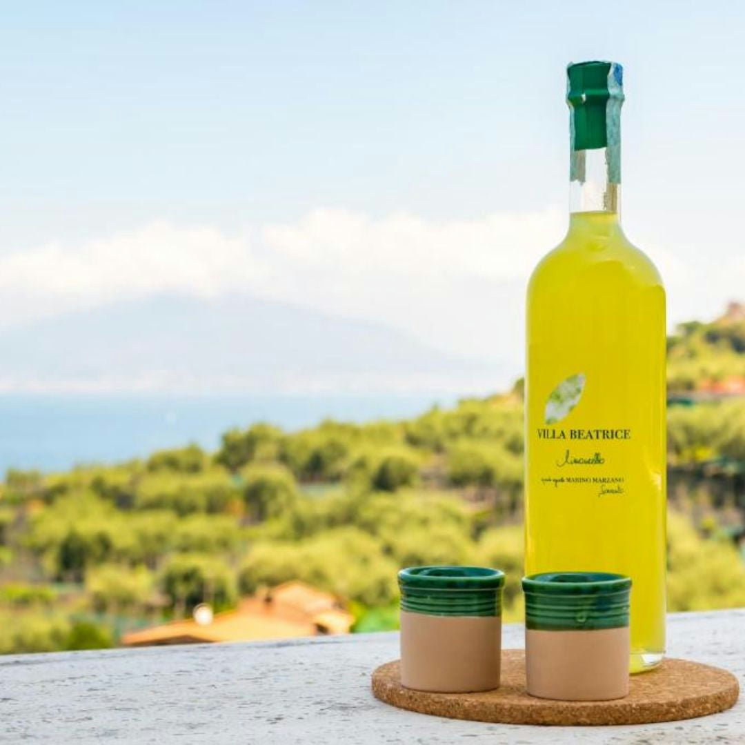 Lemon Grove Walk, Tasting and Oper Bar Aperitivo in Sorrento 1 Naples