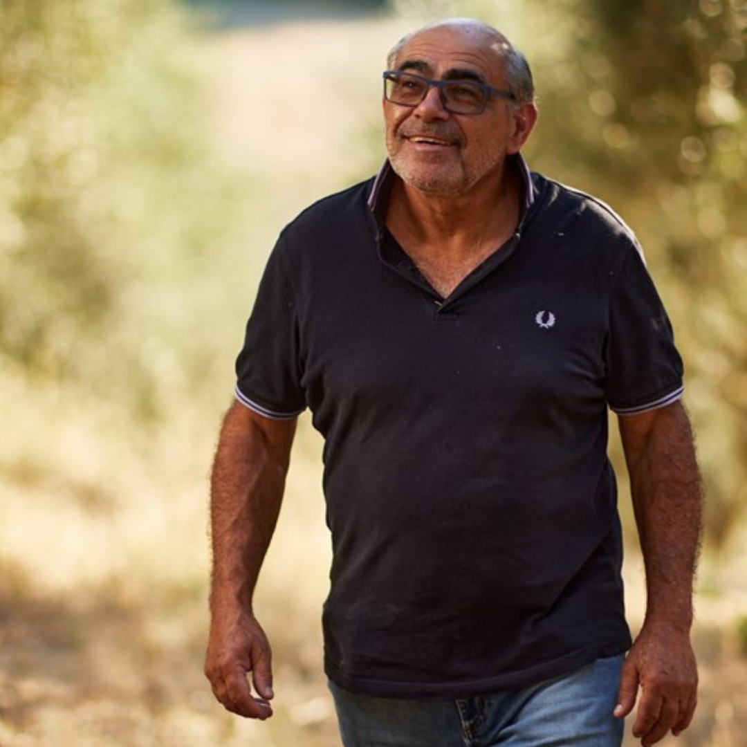 Olive Mill Tour & Guided Tasting near Pesaro 4 Pesaro