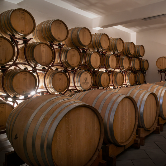 Winery Tour with Wine and Food Tasting near Oristano 6 Oristano