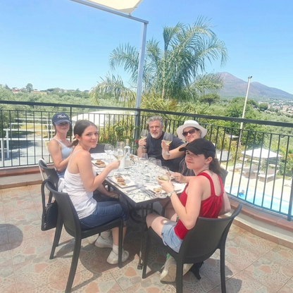 Immersive Farmhouse Tour with Wine & Oil Tasting near Pompeii 4 Napoli