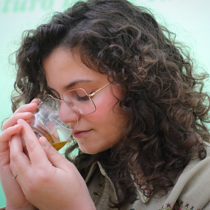 Olive Oil Tasting Experience with Aperitivo near Ancona 1 Ancona
