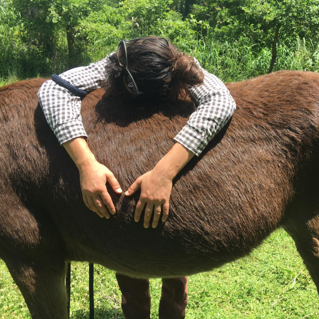 Donkey Farm Experience with Guided Interaction near Cefalù 3 Palermo