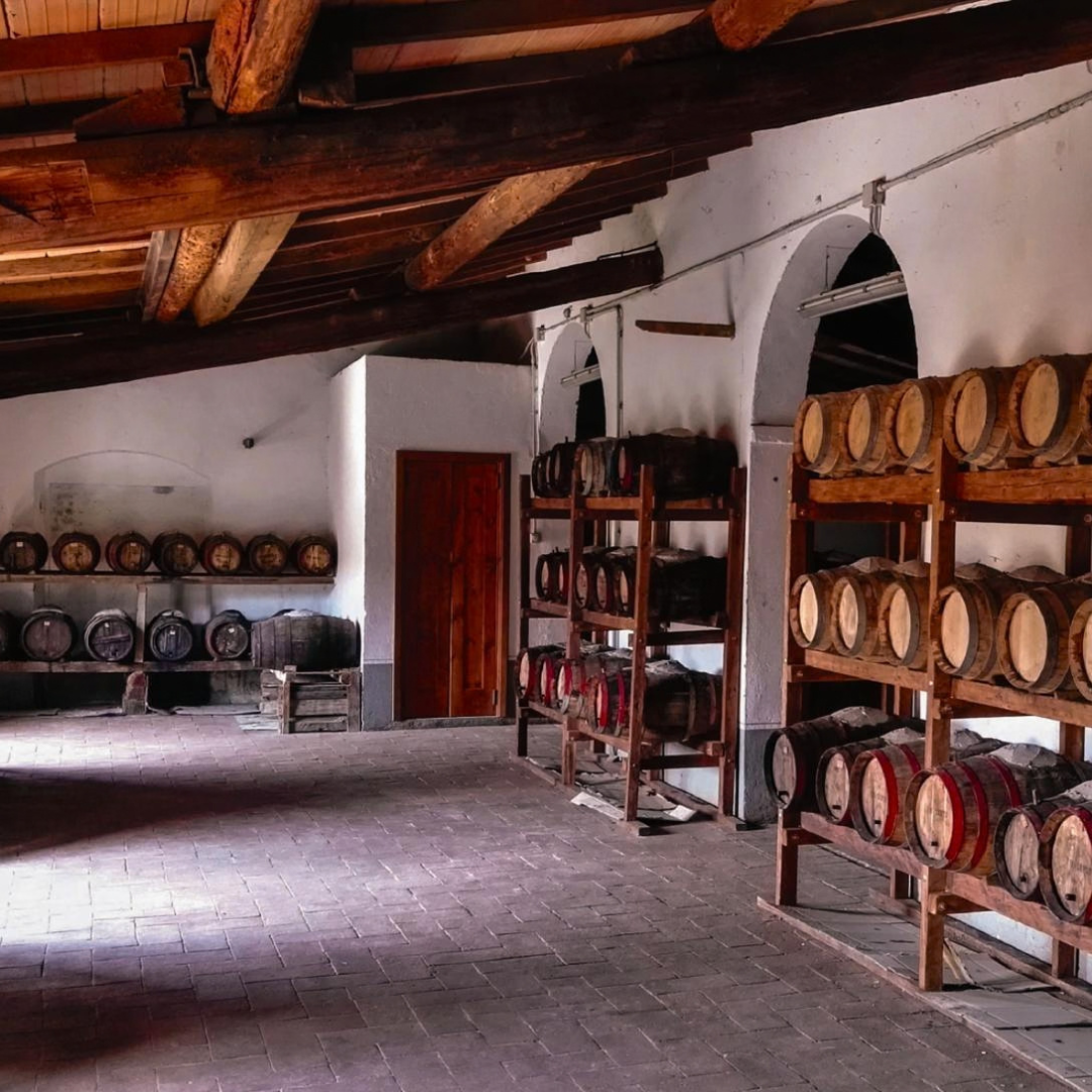 Organic Winery Tour with Wine & Food Tasting in Arezzo 6 Arezzo