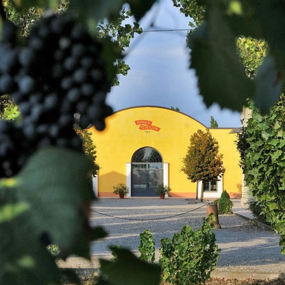Balsamic Vinegar Tasting & Vintage Car Museum near Modena 2 Modena
